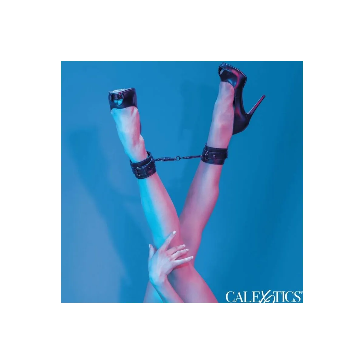 Euphoria Knöchel-Manschetten von Calexotics | Fesselliebe.de