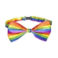 Lgbt-Flagge Fliege von Pride