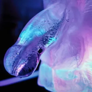 Huge Penis Ice Luge Mold von Play Wiv Me
