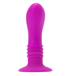 Booty Passion Vibrator Plug 10v von Pretty Love Smart