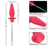 Southern Lights Light Up Leuchtende Analstecker 10 Vibrationen Silikon Rosa von Calexotics | Fesselliebe.de