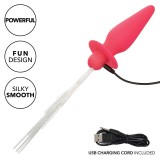 Southern Lights Light Up Leuchtende Analstecker 10 Vibrationen Silikon Rosa von Calexotics | Fesselliebe.de
