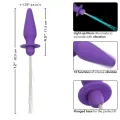 Southern Lights Light Up Leuchtende Analstecker 10 Vibrationen Silikon Lila von Calexotics