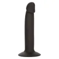 Slim Anal Stud von Calexotics