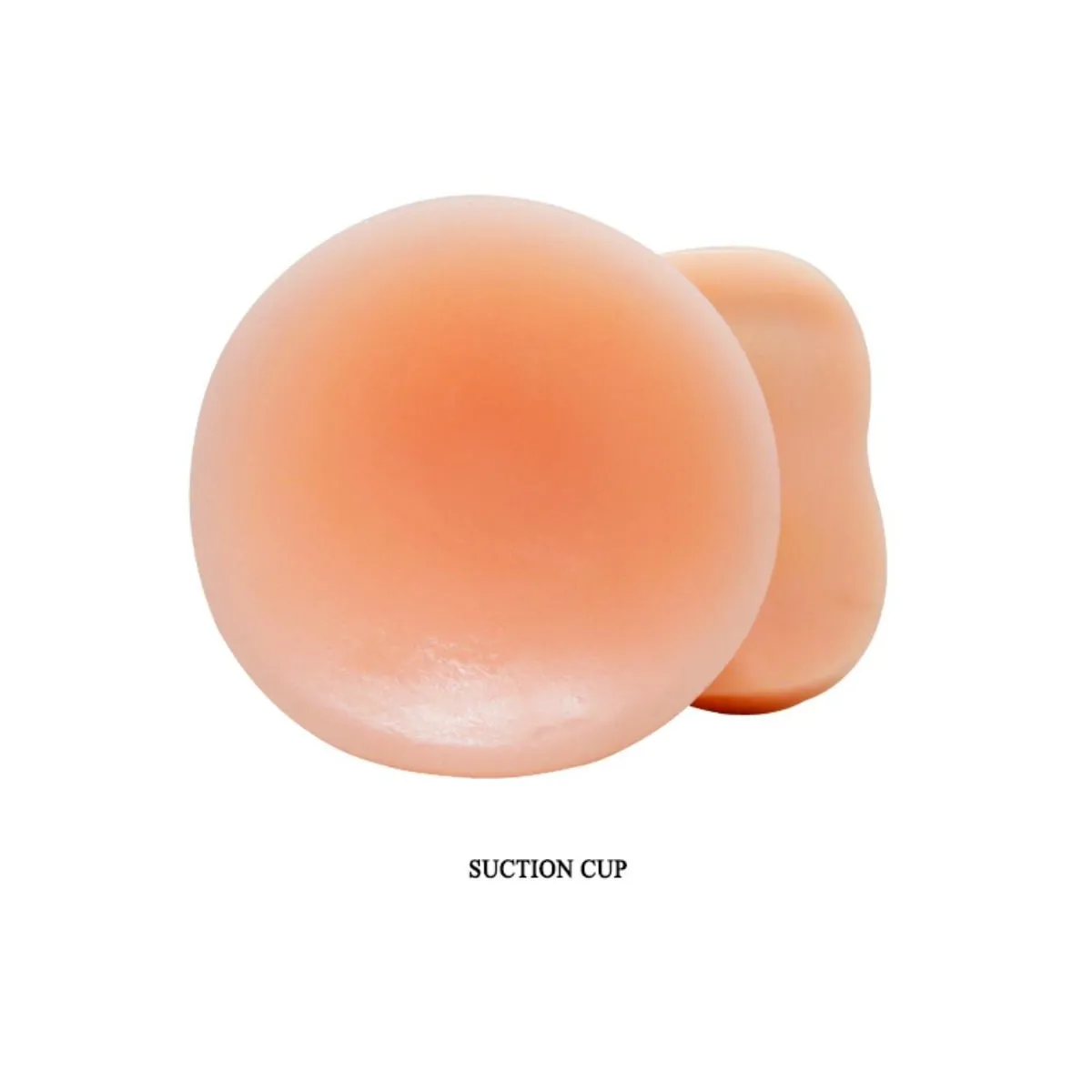 Prime Realistischer Dong natürlicher Realistischer Dildo von Baile Vibrators | Fesselliebe.de