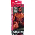 Colt Adam Dexters Hahn von Calexotics