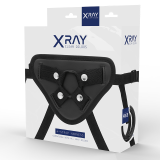 Gurt mit Silikonringen von X Ray | Fesselliebe.de