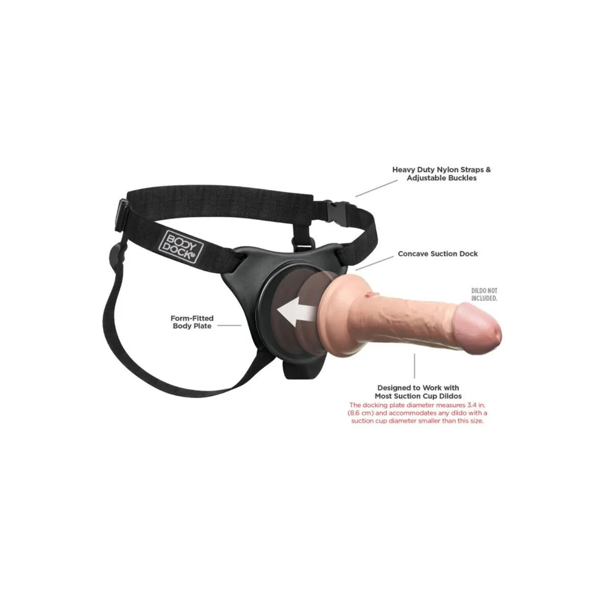 Body Dock Original-Gurt von Pipedreams | Fesselliebe.de