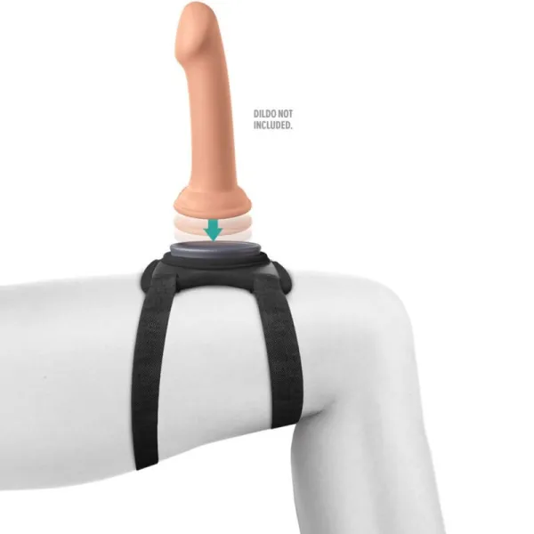 Body Dock Lap Strap-Gurt von Pipedreams | Fesselliebe.de