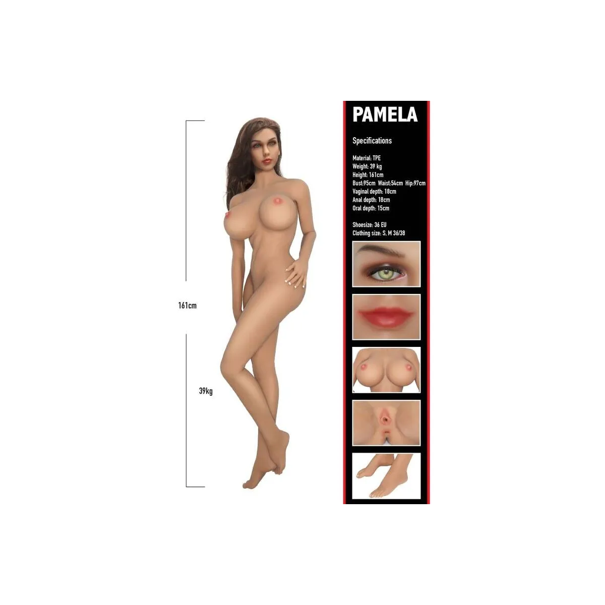 Banger Babe Pamela von Hidden Desire | Fesselliebe.de