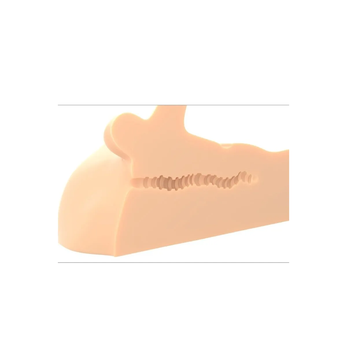 Perfect Ride Penis- und Anus-Masturbator von Pdx Plus+ | Fesselliebe.de