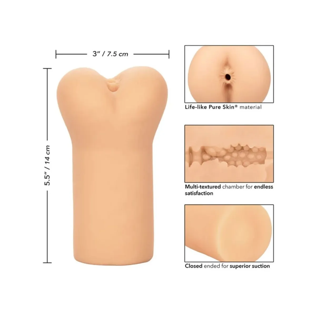 Boundless Anus-Brauen von Calexotics | Fesselliebe.de