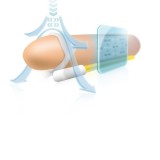 Penisverlängerer von andro Medical | Fesselliebe.de