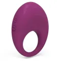 Wiederaufladbarer Ring von Dylan, Kompatibel mit der Drahtlosen Watchme-Technologie von Coverme