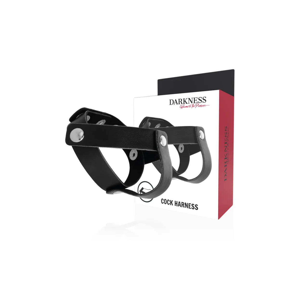 Hautring für Penis und Hoden von Darkness Sensations | Fesselliebe.de