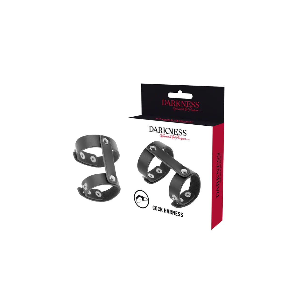 Verstellbarer Penis- und Hodenring aus Leder von Darkness Bondage | Fesselliebe.de