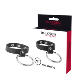 Metallring für Penis und Hoden von Darkness Bondage | Fesselliebe.de