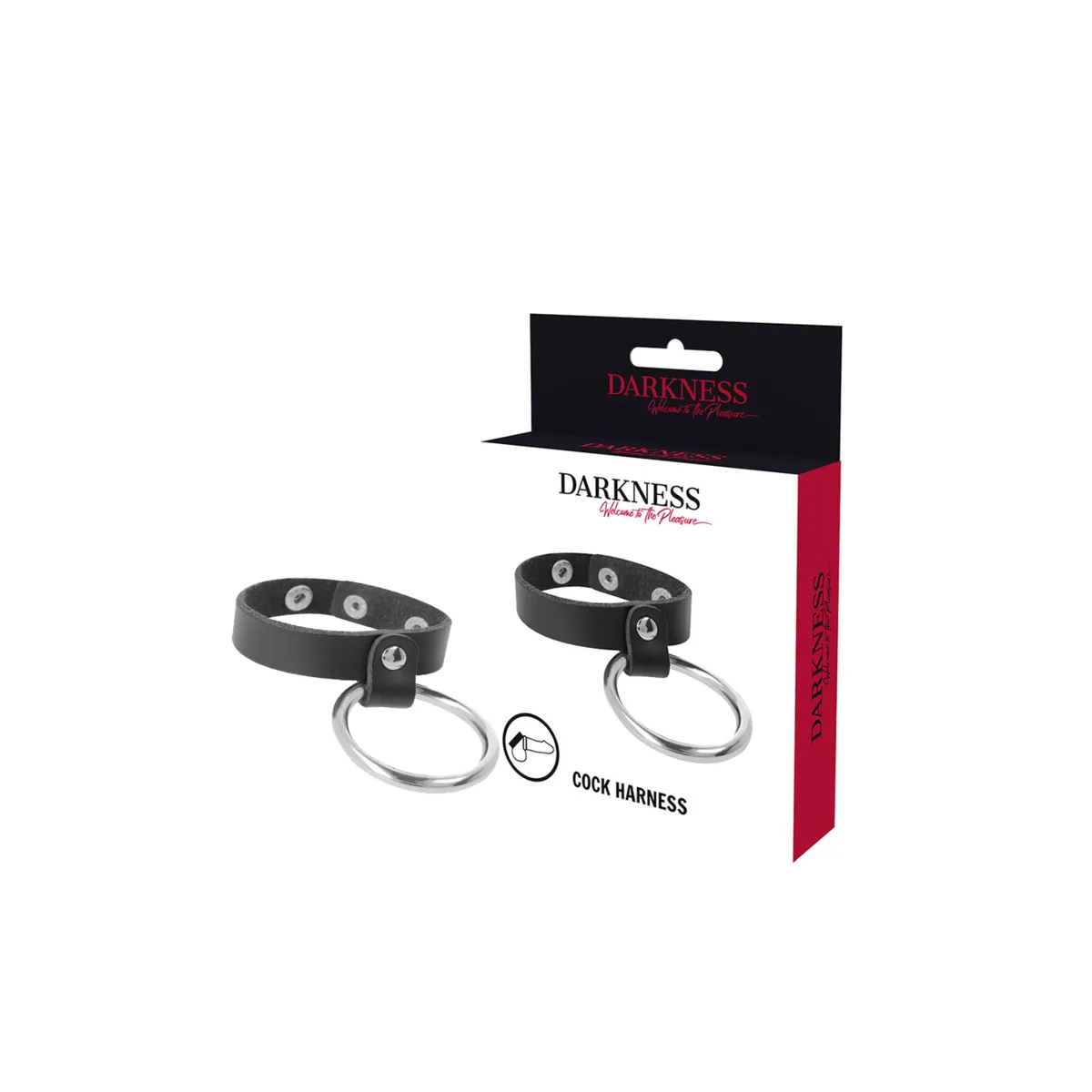 Metallring für Penis und Hoden von Darkness Bondage | Fesselliebe.de