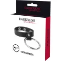 Metallring für Penis und Hoden von Darkness Bondage