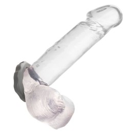 Alpha Erect Ring Grau von Calexotics | Fesselliebe.de