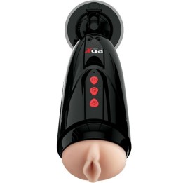 Dirty Talk Starter Stroker von Pdx Elite | Fesselliebe.de