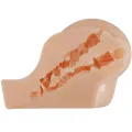 Realistischer Vagina- und Anus-Kylie-Vibrator von Crazy Bull