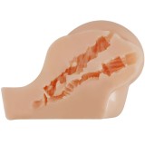 Realistischer Vagina- und Anus-Kylie-Vibrator von Crazy Bull | Fesselliebe.de