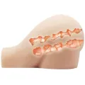 Realistische Vagina und Anus mit Vibrationsposition 8 von Crazy Bull
