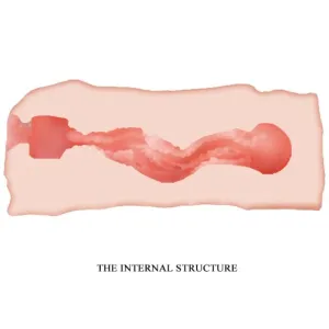 Jane Vagina Masturbator 13,5 cm von Crazy Bull