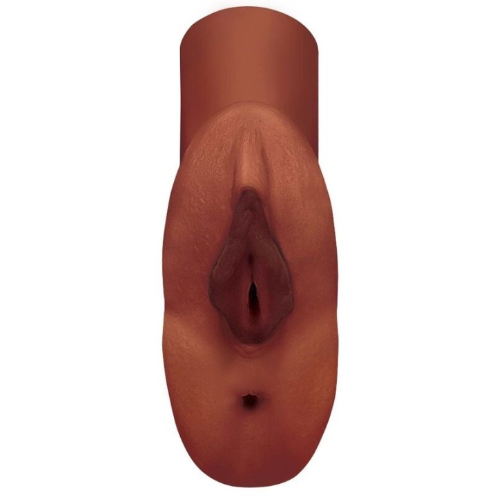 Perfect Pussy Double Stroker Vagina und Anus Masturbator Braun von Pdx Plus+ | Fesselliebe.de