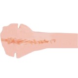 Masturbator Femme Fatale To Go von Private | Fesselliebe.de