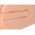 Realistischer weiblicher Ez Bang Masturbatortorso von Pdx Plus+