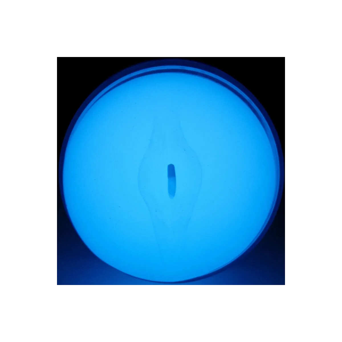 Fühlen Sie einen Im Dunkeln Leuchtenden Stroker von Kiiroo | Fesselliebe.de