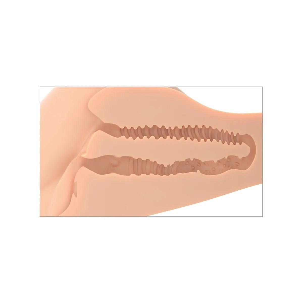 360 Banger Realistischer Anal- und Vagina-Masturbator von Pdx Plus+ | Fesselliebe.de