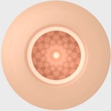 Männlicher Masturbator, Eierfleischmodell 2 von Pretty Love Flirtation | Fesselliebe.de