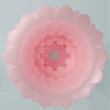 Athena Alice männlicher Masturbator Rosa von Pretty Love | Fesselliebe.de