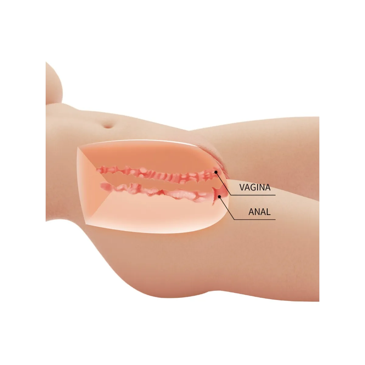 Tiffany Realistischer weiblicher Torso Vagina und Anal 5,5 Kg von Crazy Bull | Fesselliebe.de