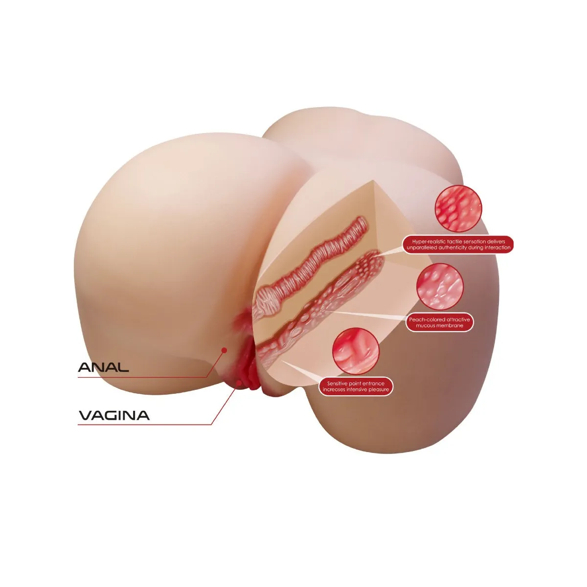 Julia Realistischer weiblicher Po Vagina und Anal 11 Kg von Crazy Bull | Fesselliebe.de