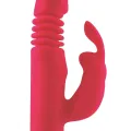 Schatz Missouri Silikone Pink von Dreamlove Outlet