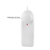 Goldener Vibrator mit Chinesischen Bällen von Baile Stimulating | Fesselliebe.de