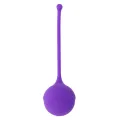 Kisha Fit One Silikon Kegelflieder von Intense Health & Fun
