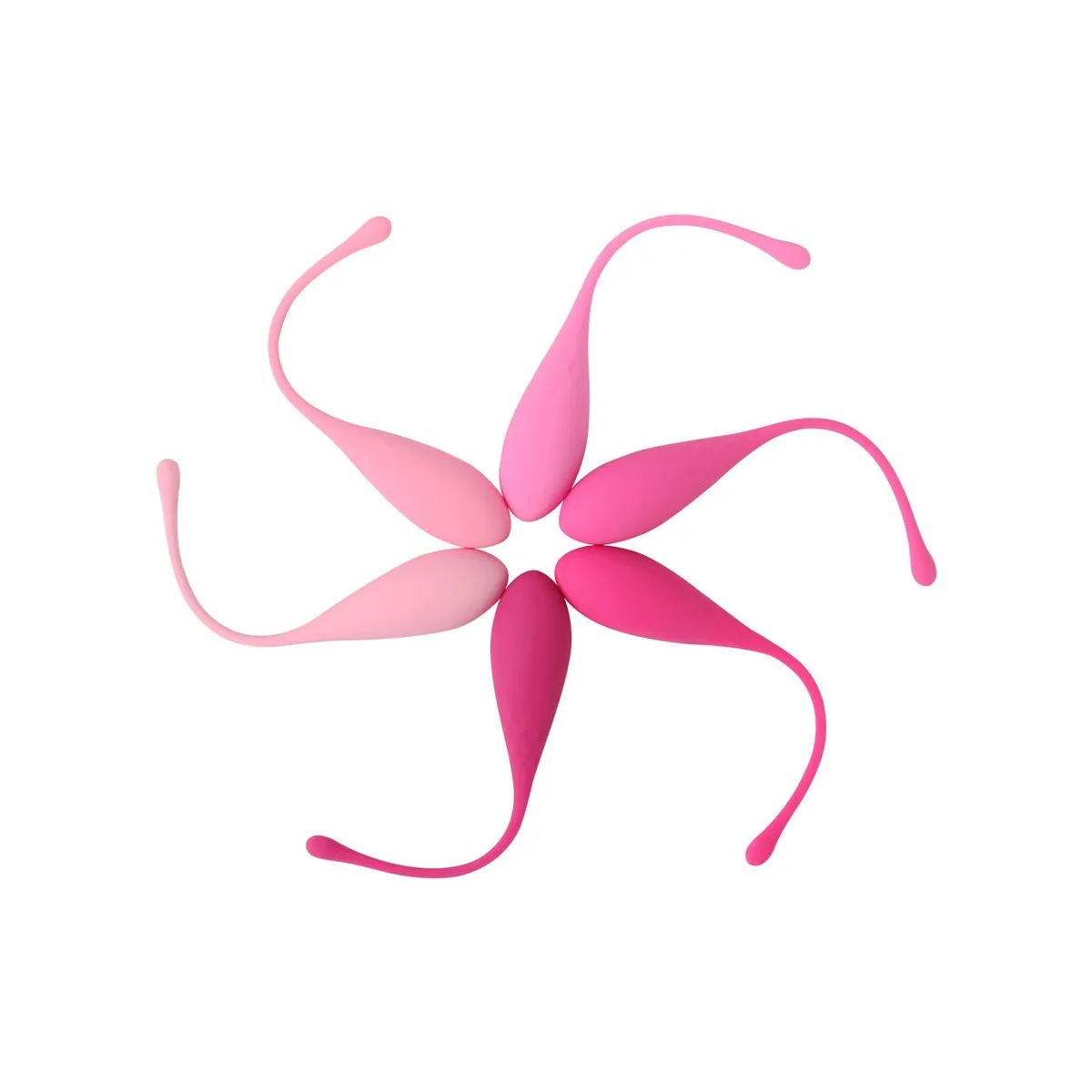 Kegel Fit Pelvic Muscle Training Set 6 Stücke von Leslie | Fesselliebe.de