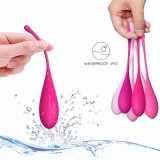 Kegel Fit Pelvic Muscle Training Set 6 Stücke von Leslie | Fesselliebe.de