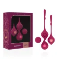 Orchideen-Becken-Trainings Deva-Set von Rithual