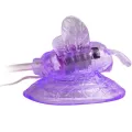 Lila Klitorisstimulation Vibrierender Schmetterling von Baile Stimulating