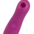 Klitoris-Stimulator 10 Geschwindigkeiten Flieder von Ohmama Stimulating