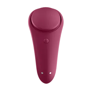Sexy Secret Panty von Satisfyer Connect