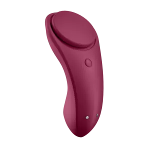 Sexy Secret Panty von Satisfyer Connect