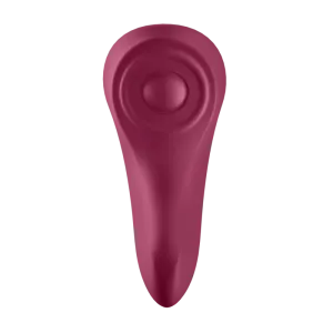 Sexy Secret Panty von Satisfyer Connect