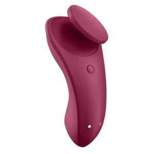 Sexy Secret Panty von Satisfyer Connect